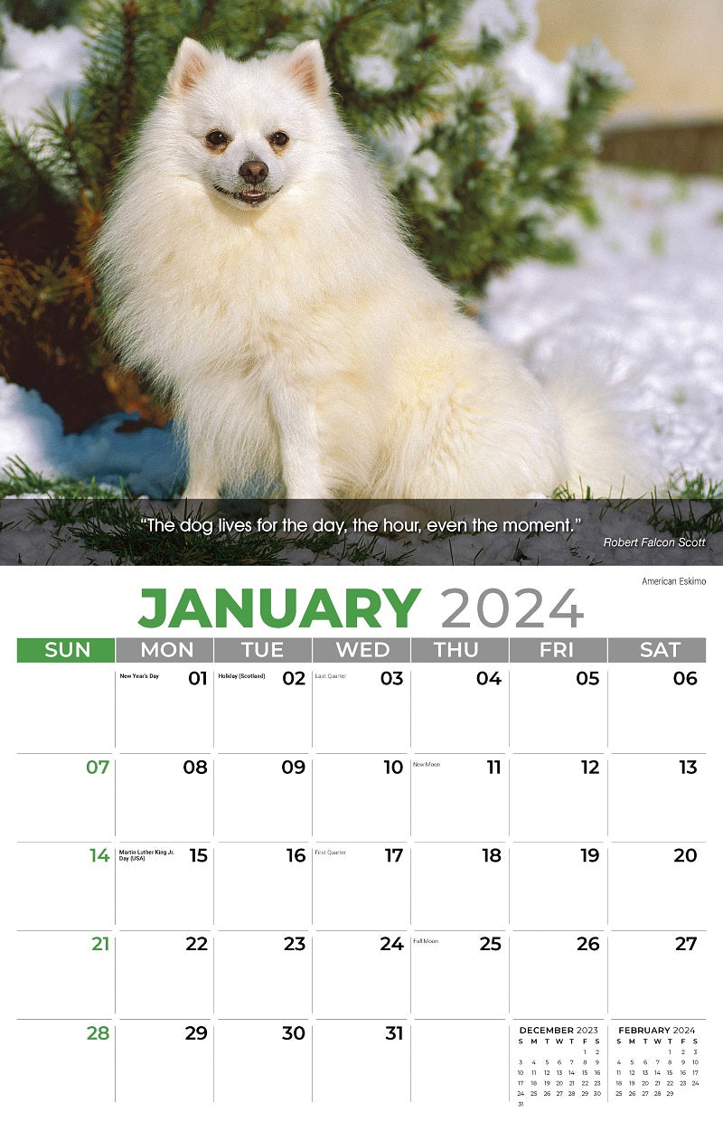 Dogs Wall Calendar