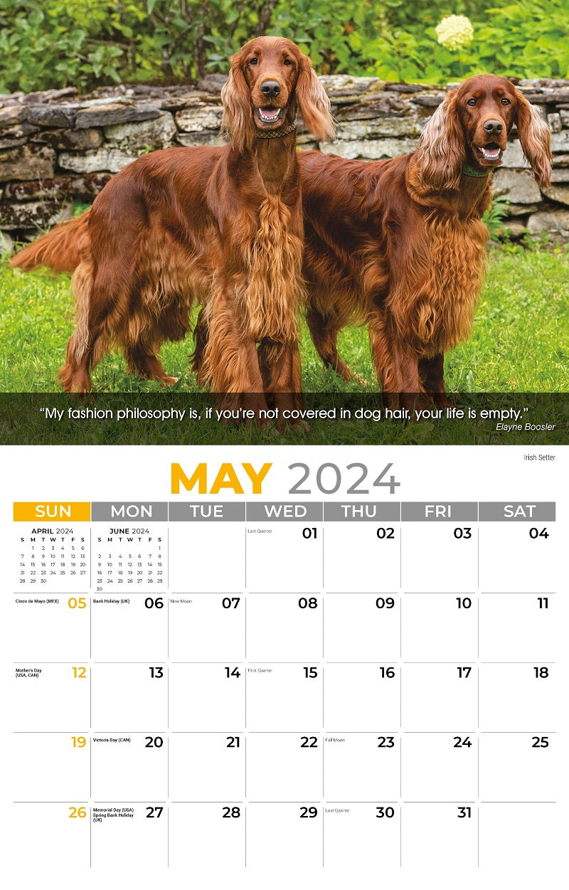 Dogs Wall Calendar