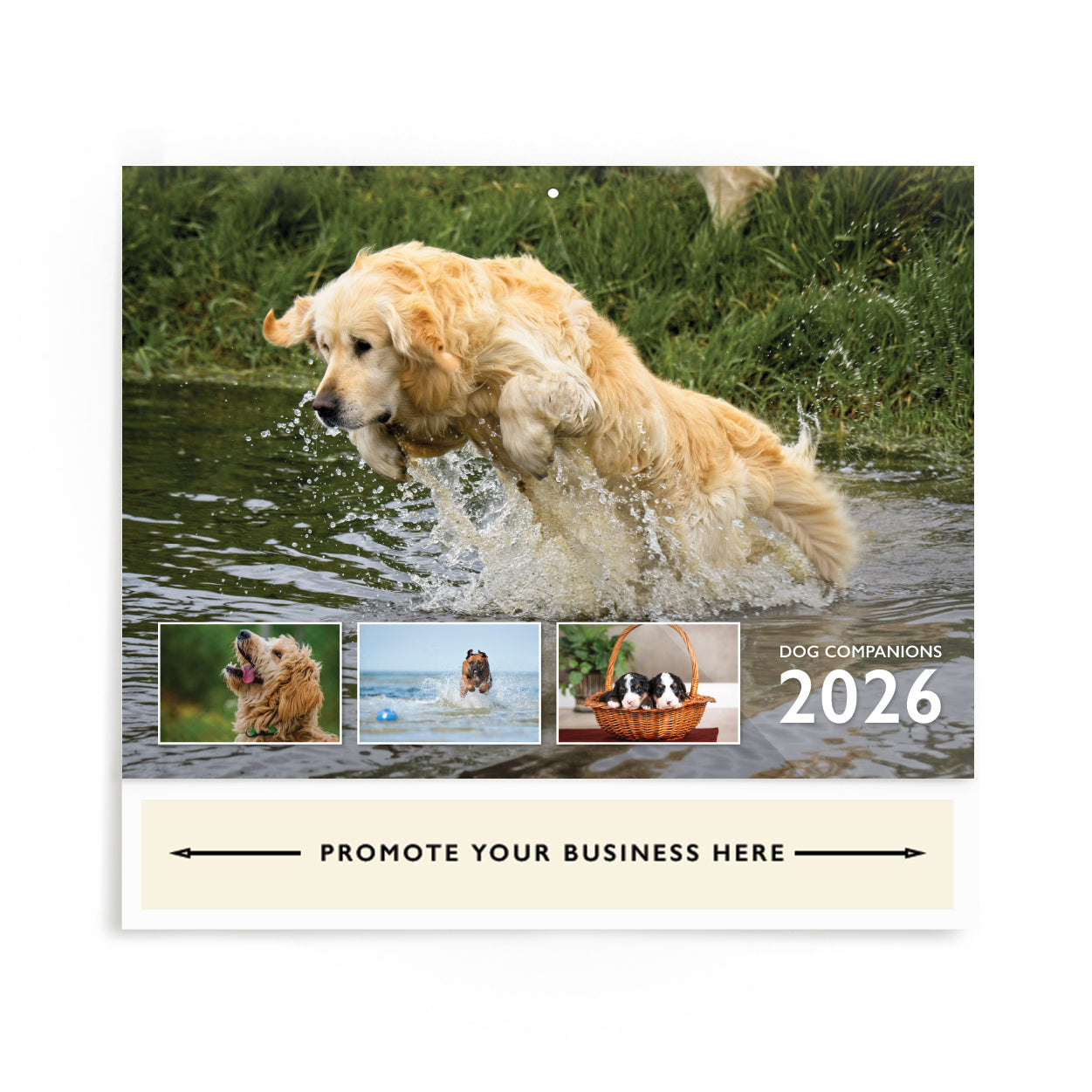 Dog Companions Wall Calendar