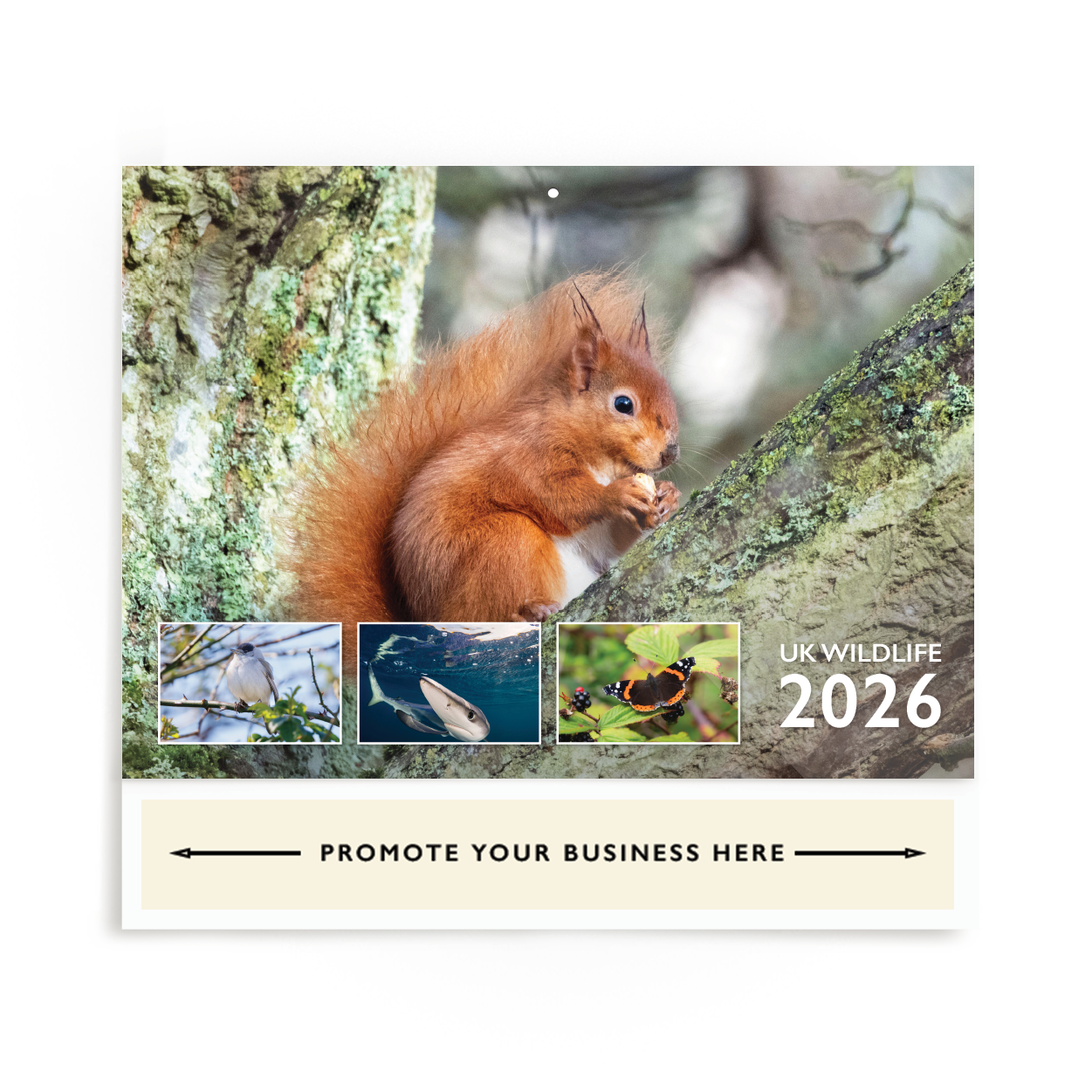 UK Wildlife Wall Calendar