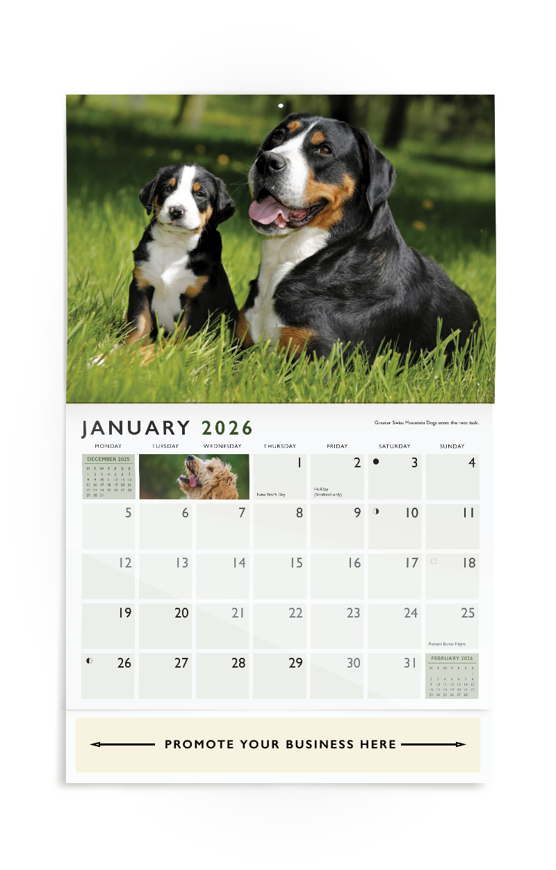 Dog Companions Wall Calendar