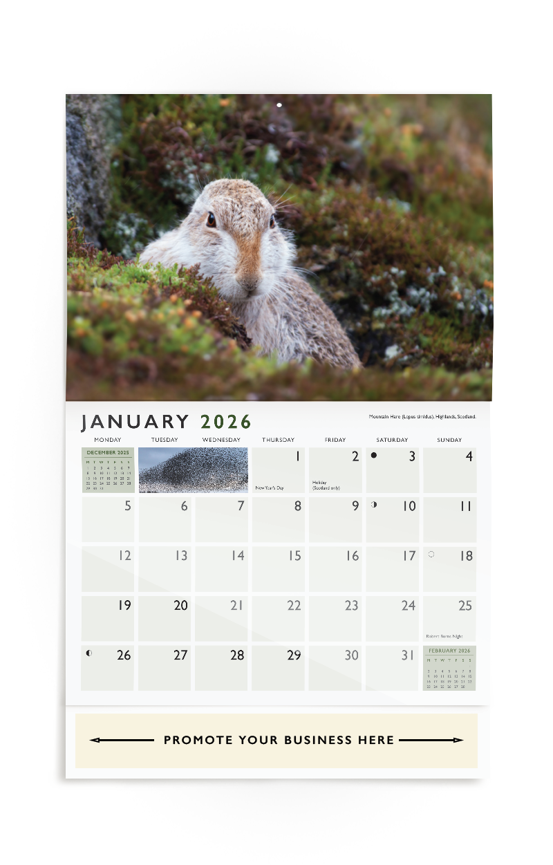 UK Wildlife Wall Calendar