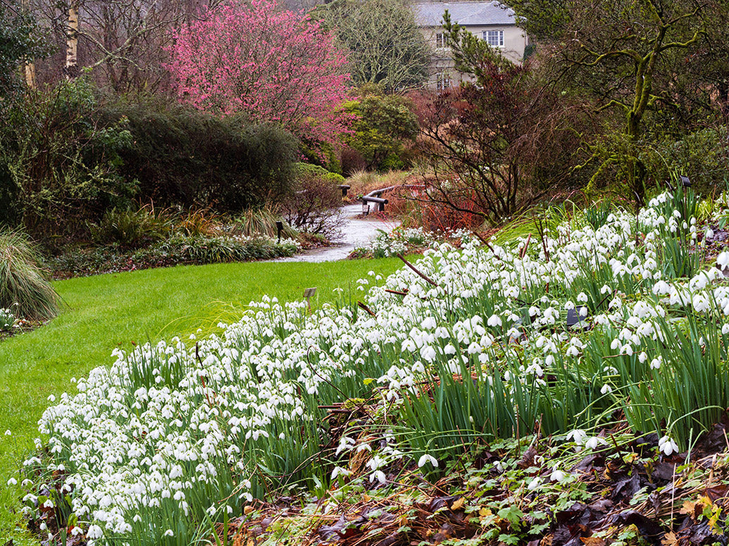 UK Gardens Desk Calendar