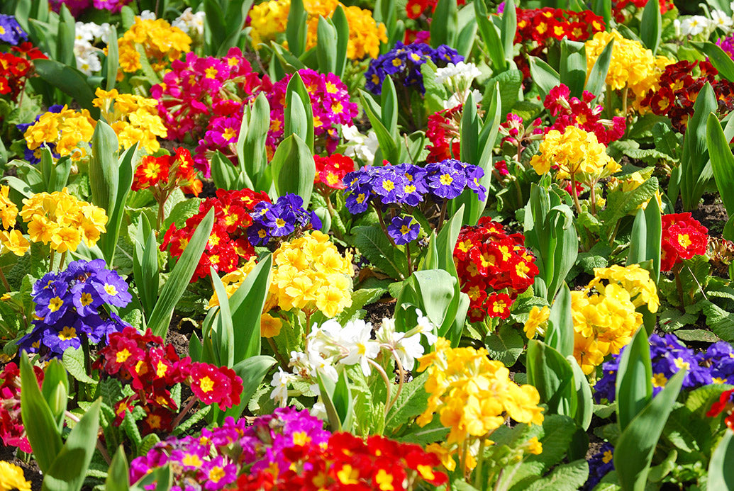 UK Gardens Desk Calendar
