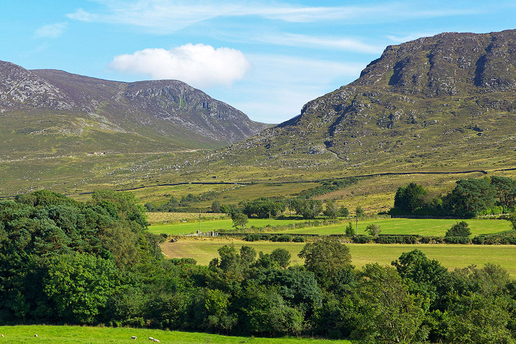 UK Vistas Wall Calendar