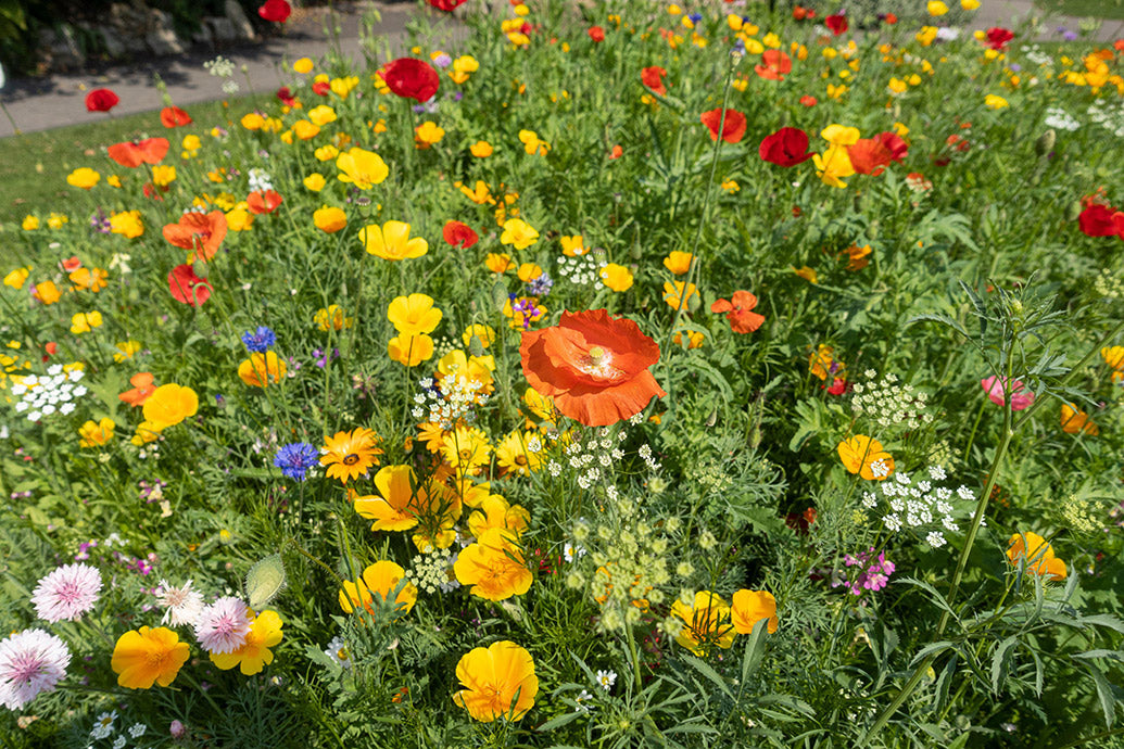 UK Gardens Desk Calendar