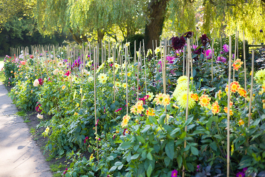 UK Gardens Desk Calendar