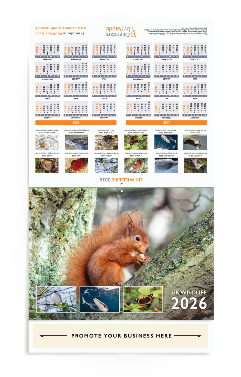 UK Wildlife Wall Calendar