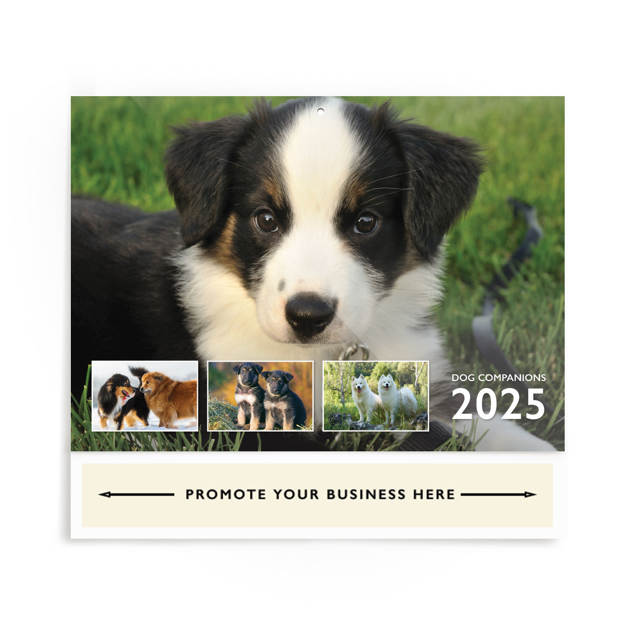 Dog Companions Wall Calendar