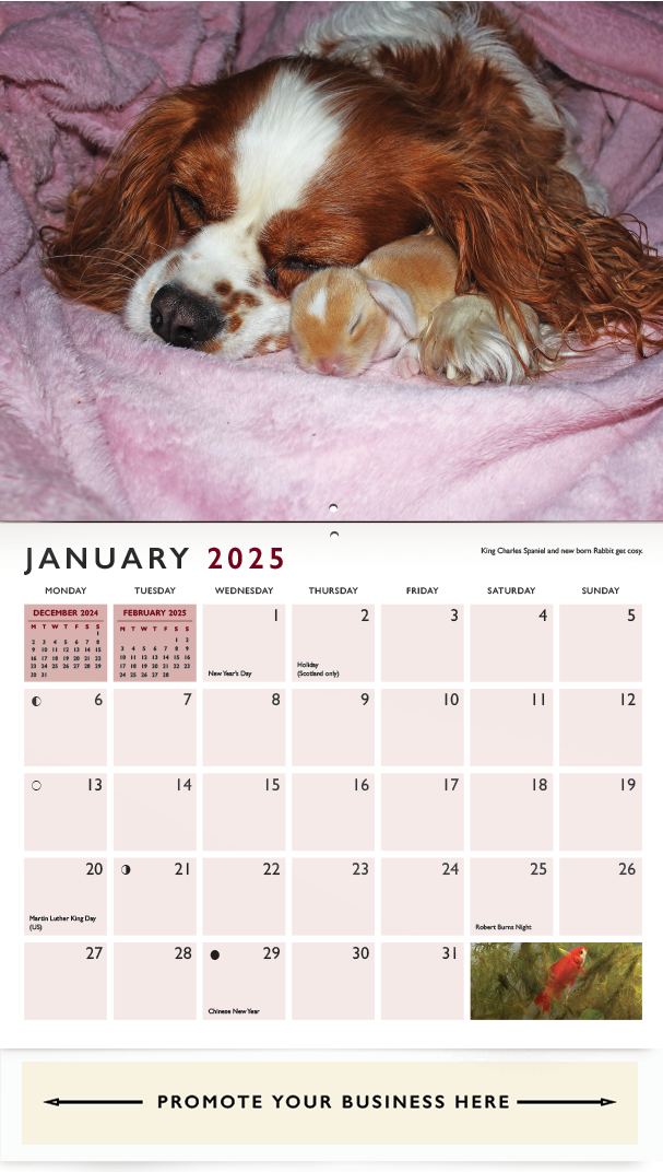 Pets Friends Wall Calendar