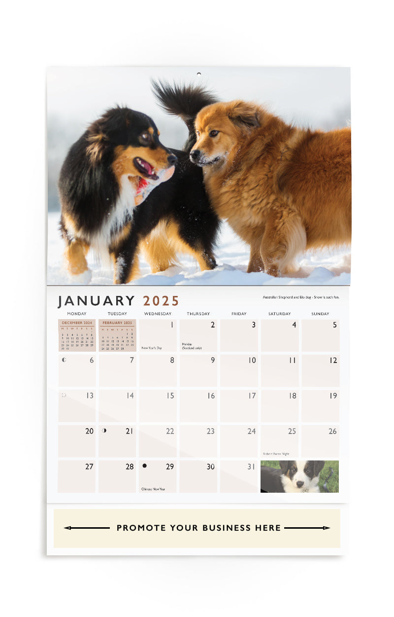 Dog Companions Wall Calendar