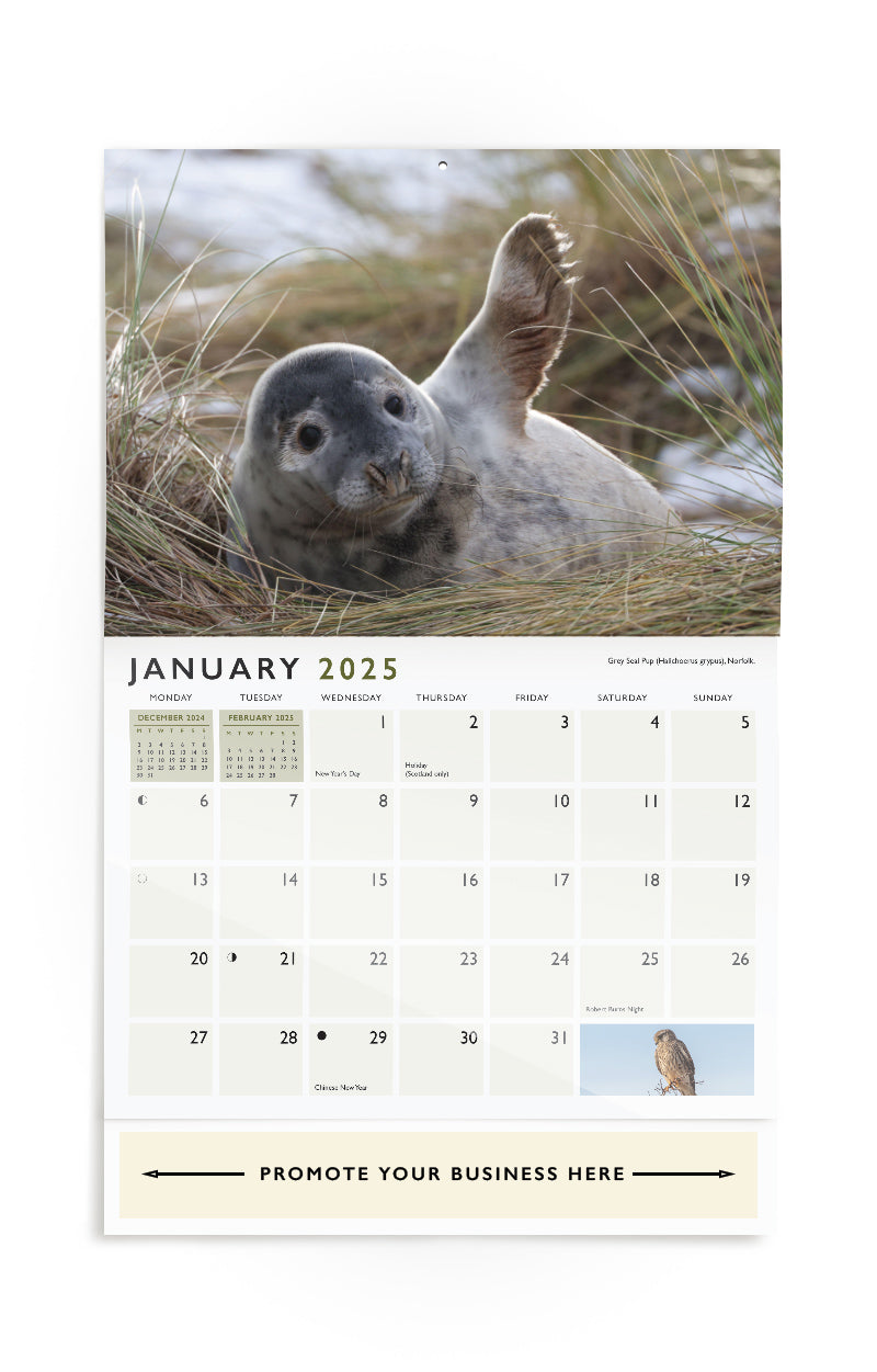 UK Wildlife Wall Calendar