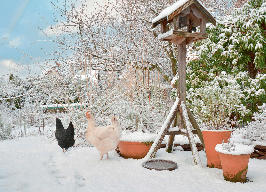 UK Gardens Wall Calendar