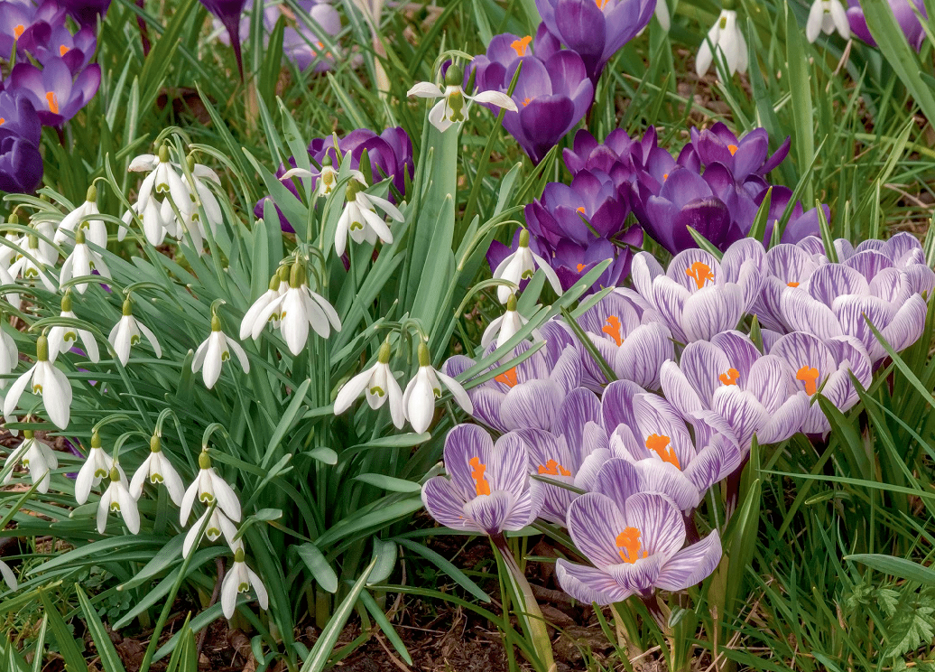 UK Gardens Wall Calendar