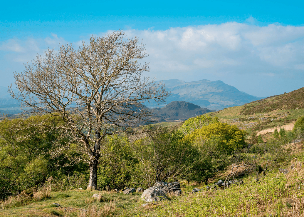 UK Vistas Wall Calendar