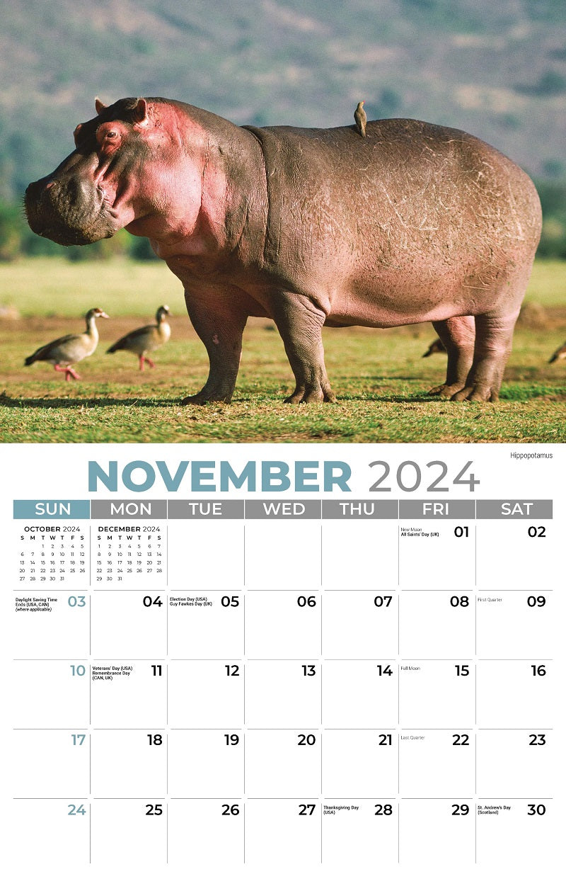 International Wildlife Wall Calendar