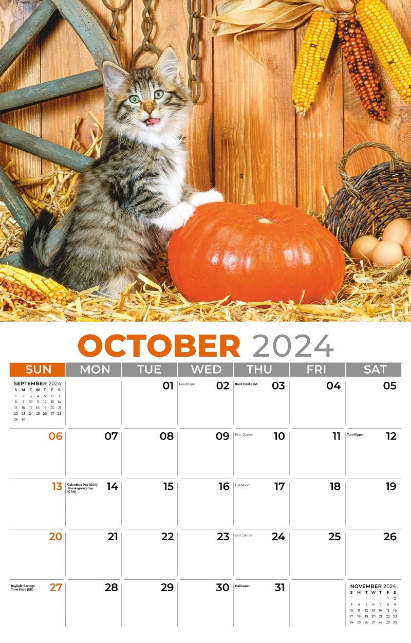 Kittens Wall Calendar