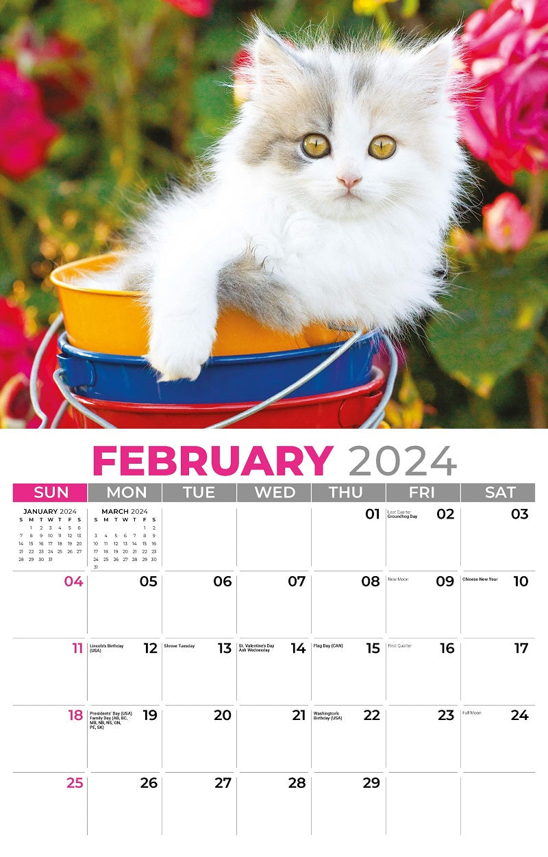 Kittens Wall Calendar