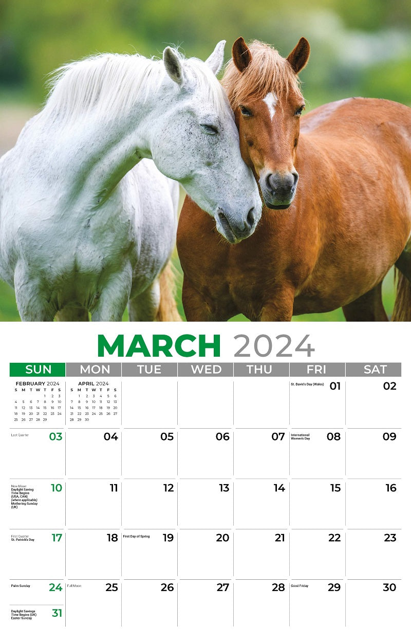 Pets Wall Calendar