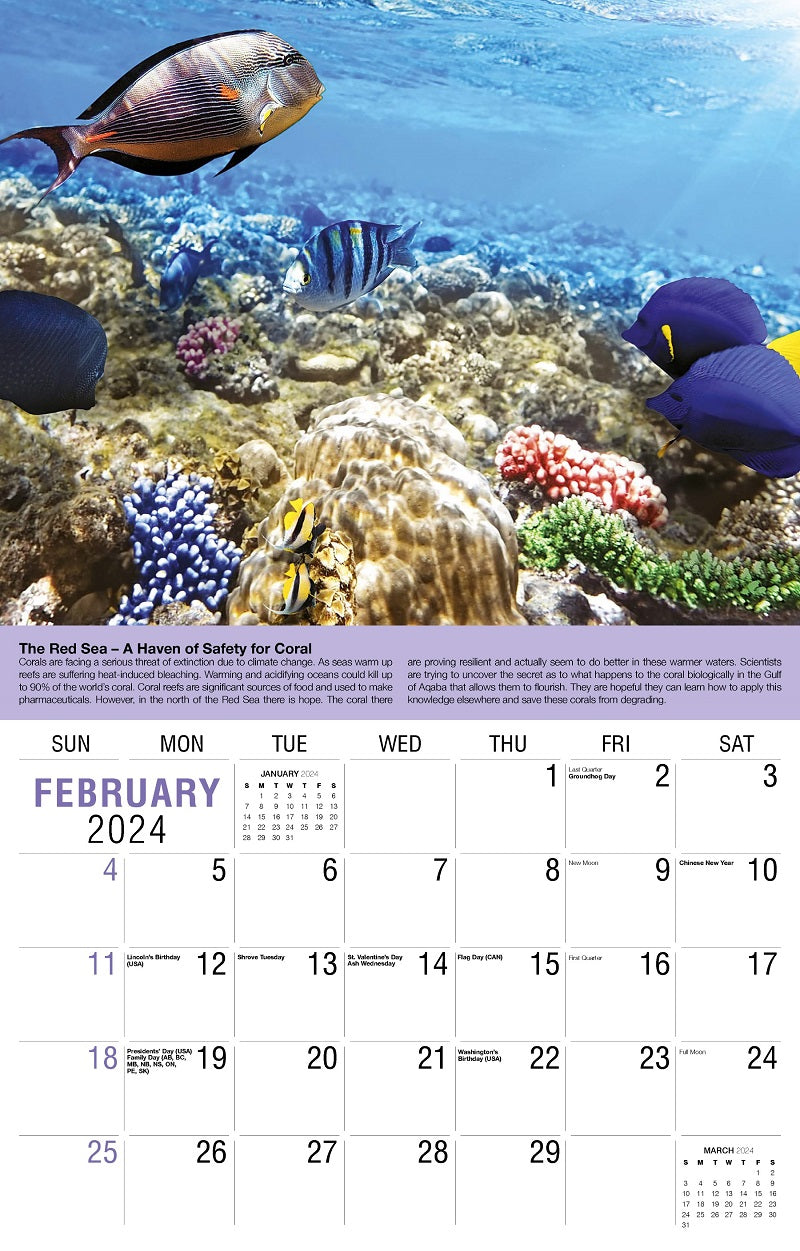 Planet Earth Wall Calendar